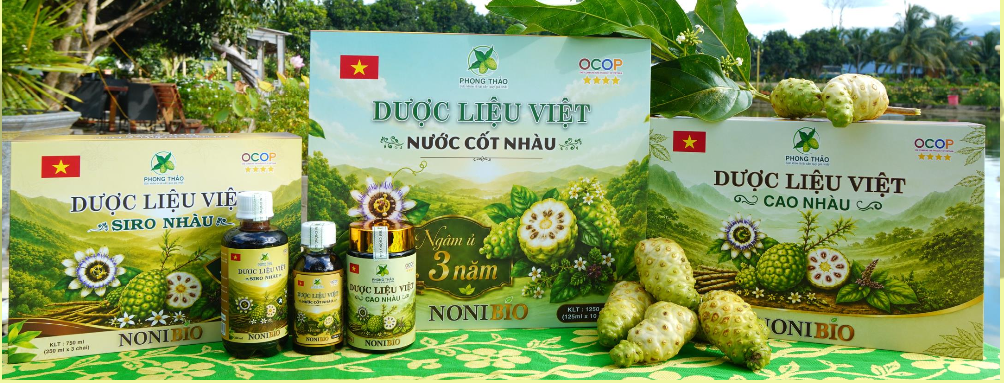 Dược Liệu Việt: Khát Vọng Nâng Tầm Dược Liệu Bản Địa Từ Triết Lý "Khỏe Từ Gốc, An Từ Tâm"