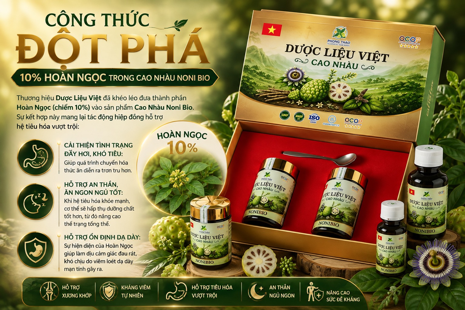Hoàn Ngọc Đỏ: "Kháng Viêm Tự Nhiên" Cho Hệ Tiêu Hóa Khỏe Mạnh Trong Cao Nhàu Noni Bio